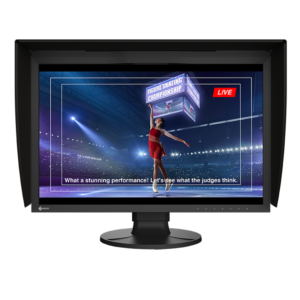 EIZO ColorEdge CG2400SV