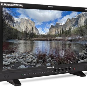 Flanders Scientific DM211