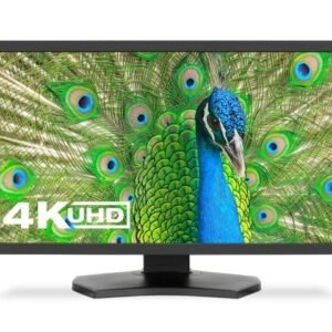Sharp NEC PA311D